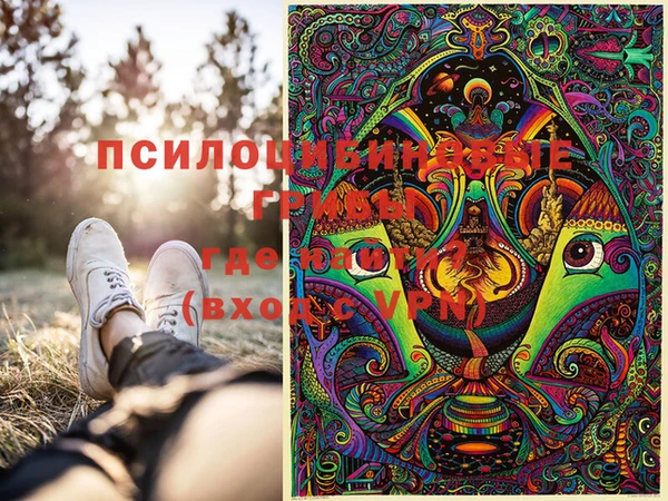 гашиш Дмитриев