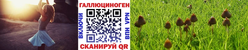 Псилоцибиновые грибы GOLDEN TEACHER  Хвалынск 